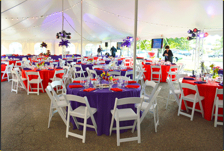 Renta de mobiliario para fiesta y evento social